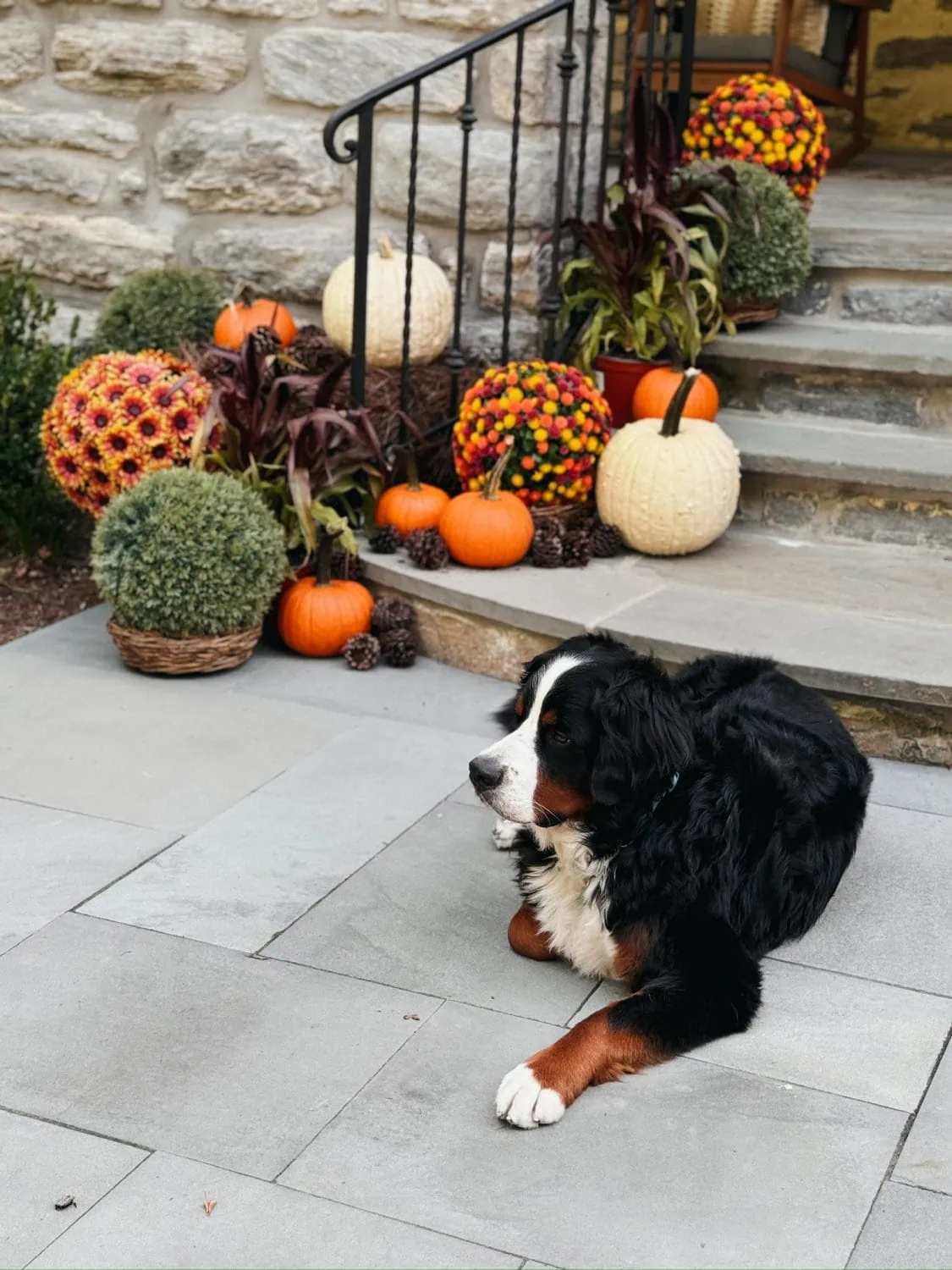 The Importance of Fall Decor